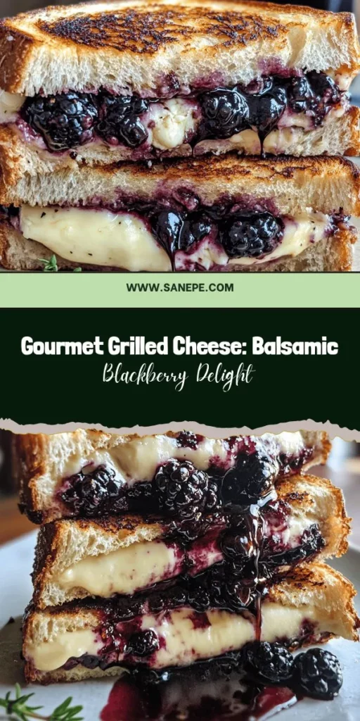 Elevate your grilled cheese game with the Balsamic Blackberry Bliss Grilled Cheese! This gourmet twist combines crispy rustic sourdough, melted sharp cheddar, creamy goat cheese, and fresh blackberries drizzled with sweet balsamic reduction. Perfect for impressing guests or treating yourself, this sandwich offers a delightful blend of sweet, savory, and tangy flavors. Try it today for a unique culinary experience! #GrilledCheese #GourmetSandwich #Foodie #Delicious #CookingAtHome #ComfortFood